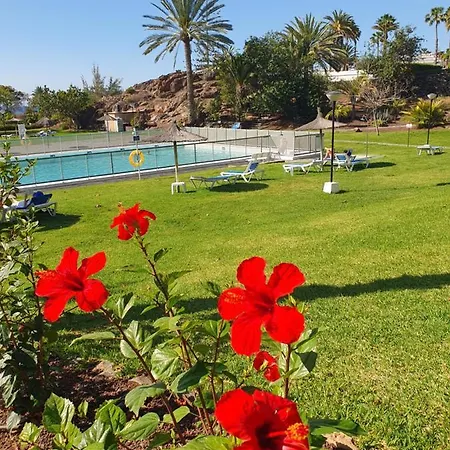 Casa Panorama 314 Maspalomas Lägenhet San Agustín